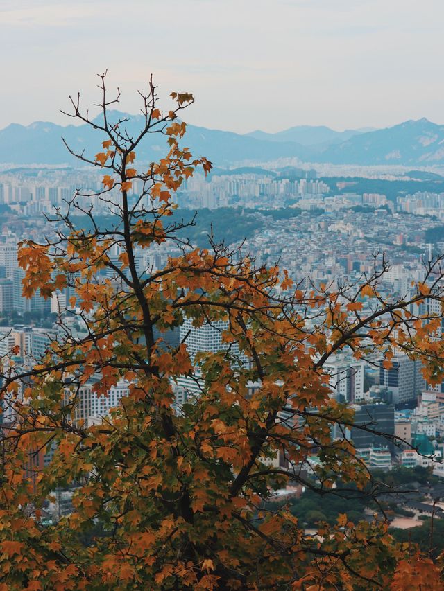 Viewpoints from the Seoul Tower 🌁🏙️