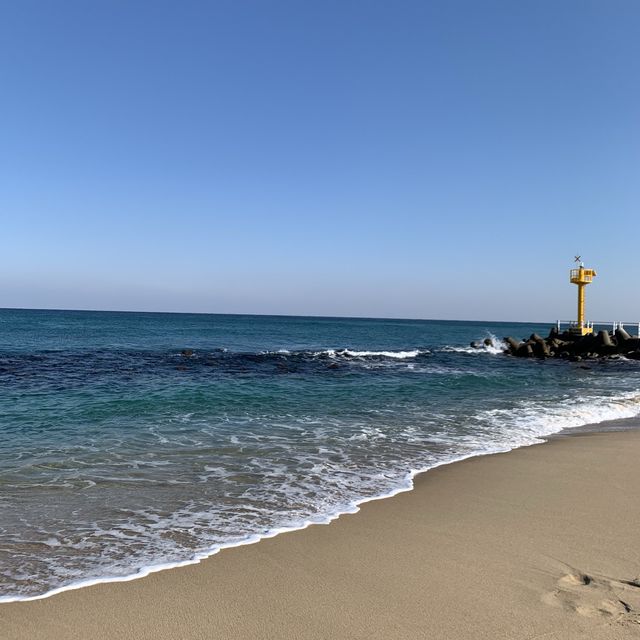 동해 바다 구경하기 좋은 강릉 강문해변🌊
