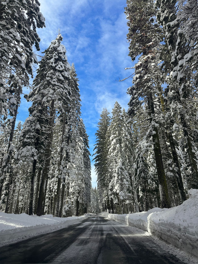 Yosemite, the overwhelming beauty of nature 