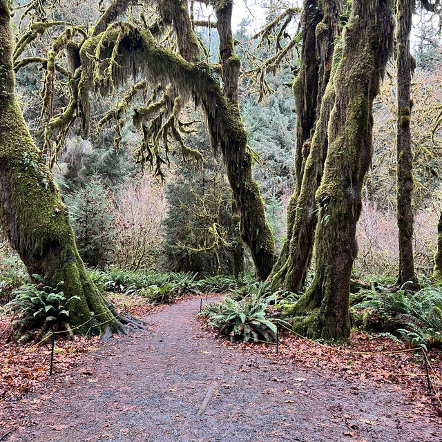 Hiking beauty that lasts in unforgettable moments 