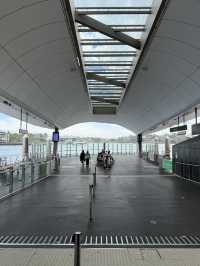 Taking a cruise along circular quay