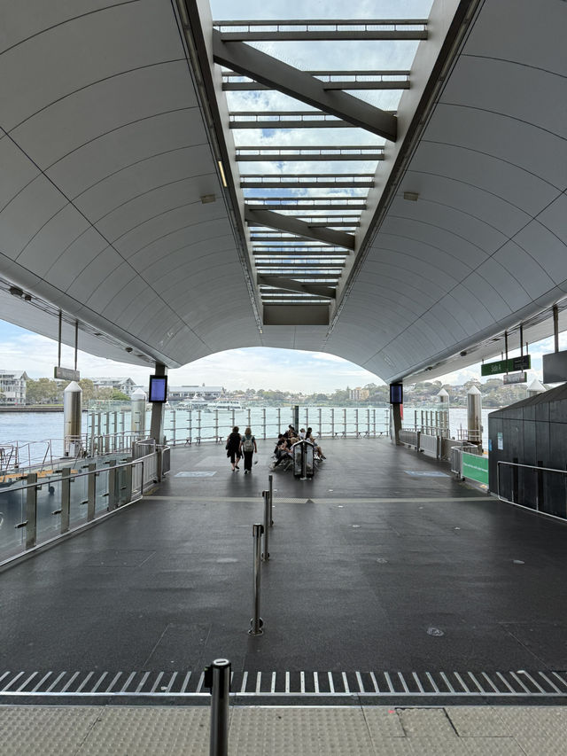 Taking a cruise along circular quay