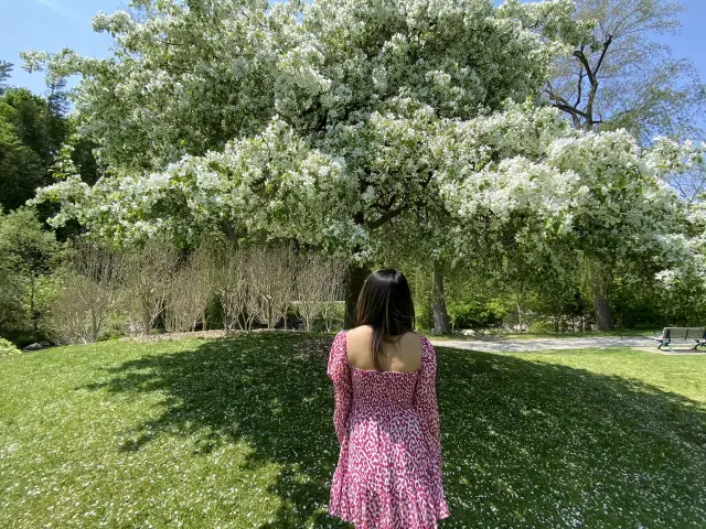 เอ็ดเวิร์ดการ์เด้น ตอนที่ 2