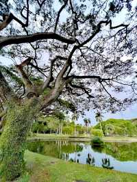 西岸公園
