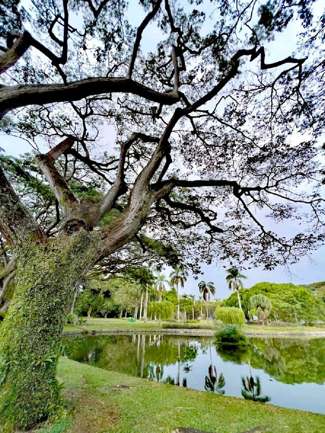 西岸公園