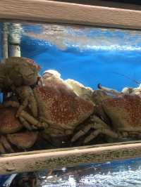 Sydneysiders’ Secret 🫶: The Ultimate Seafood Stop 🦞🦀🐟🍣🍤