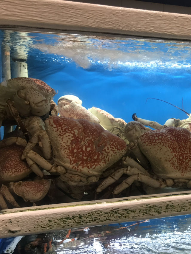 Sydneysiders’ Secret 🫶: The Ultimate Seafood Stop 🦞🦀🐟🍣🍤