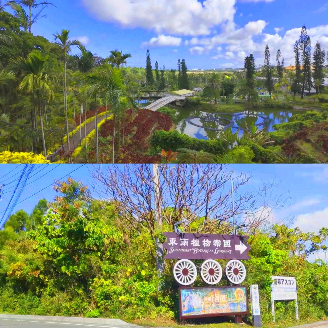 #冒險時刻

東南植物園

📍地址：沖繩縣千花市2146

停車場對面就是植物園。園內植物種類豐富，景色宜人。一邊是植物園，另一邊是動物園，園內設有付費互動區，裡面有可愛的動物和恆溫昆蟲展覽。園內可以付費餵食和觸摸可愛的動物，孩子們非常喜歡。園內空間寬敞，環境優美，適合全家大小一起在園內漫步。您也可以搭乘園區電車欣賞園內景色，非常愜意。