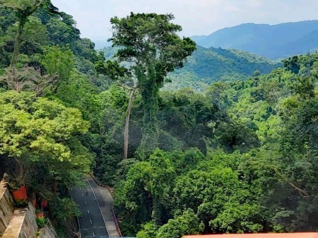 Quezon Protected Landscape