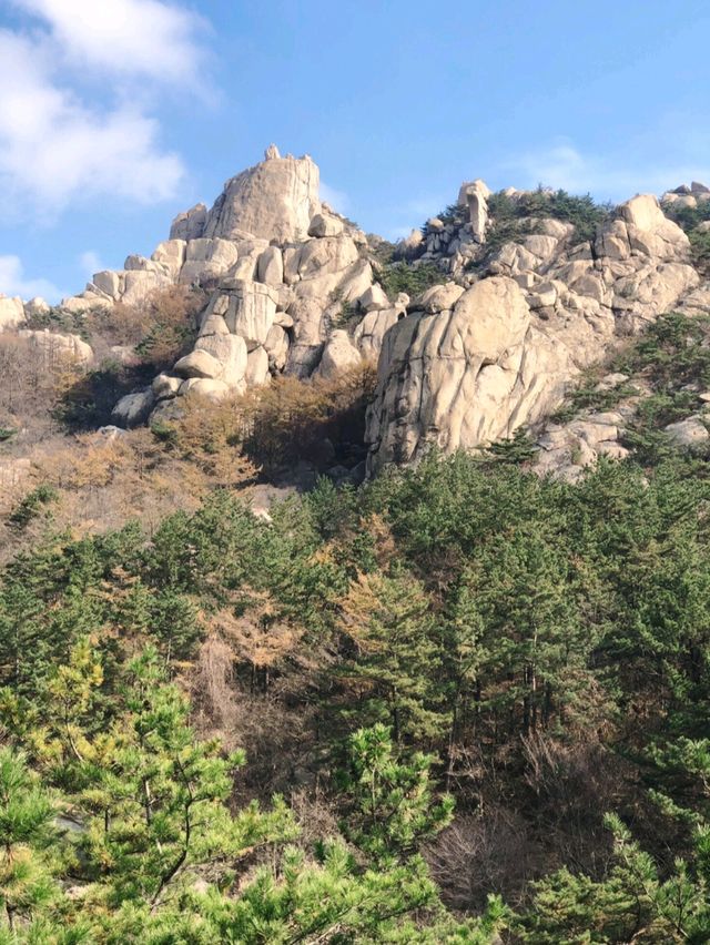 九月嶗山賞楓行程推薦🍁 九月嶗山賞楓行程推薦🍁