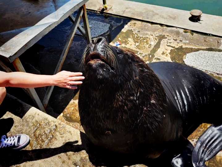 Punta del Este — Beaches, Breeze & Summer Sparkle
