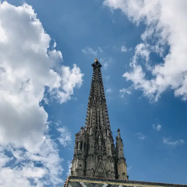 roof top St. Stephen's Cathedral