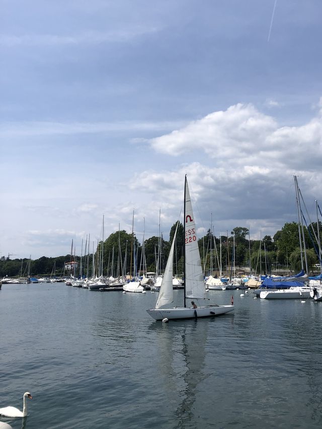 🇨🇭스위스의 평화로운 호수마을 Nyon