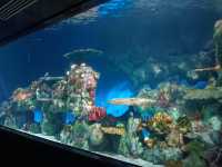 Manila Ocean Park 🐟