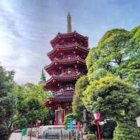 ⛩️鶴岡八幡宮⛩️建於11 世紀✨️傳統的江戶建築風格✨️