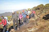 Kilimanjaro Lemosho Route 6 days Climb Tour