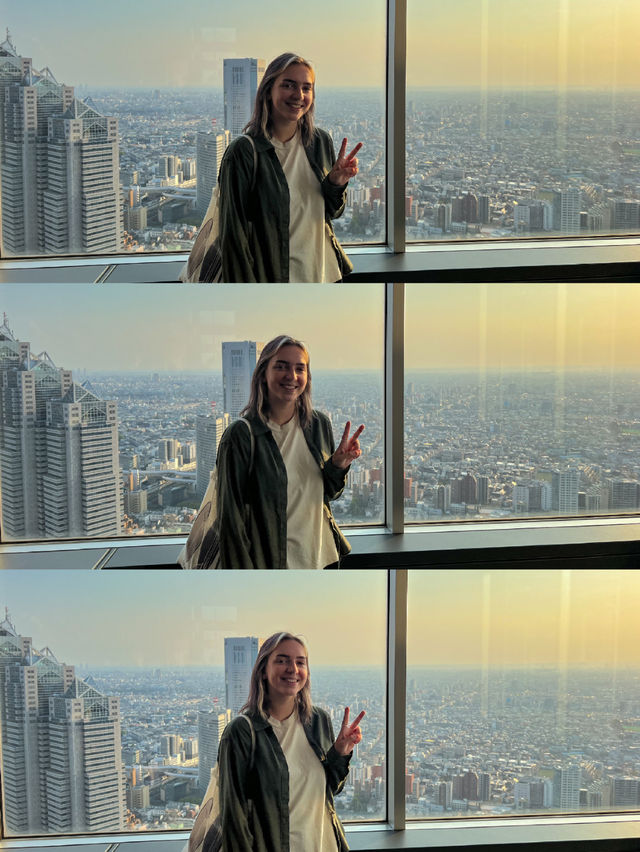 FREE Observation Deck in Tokyo at Metropolitan Government Building 🇯🇵