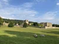 Chatsworth House: A Day with the Sheep 🐑🏰