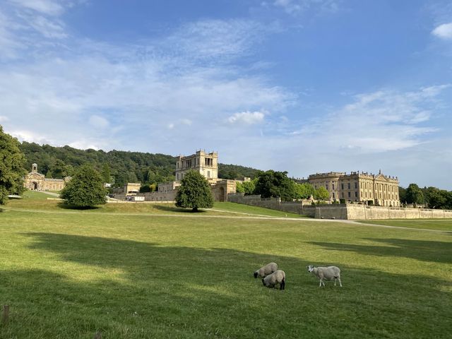 Chatsworth House: A Day with the Sheep 🐑🏰