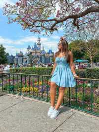  Disneyland Park