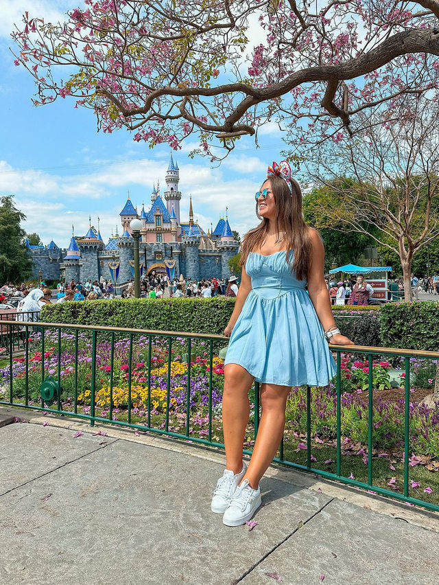  Disneyland Park