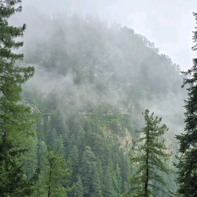 Pipeline hiking trail, Ayubia, Northern Pakistan 🇵🇰