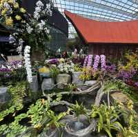 A floral Paradise 