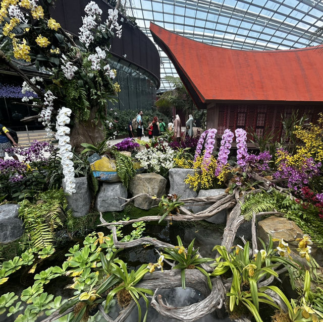 A floral Paradise 