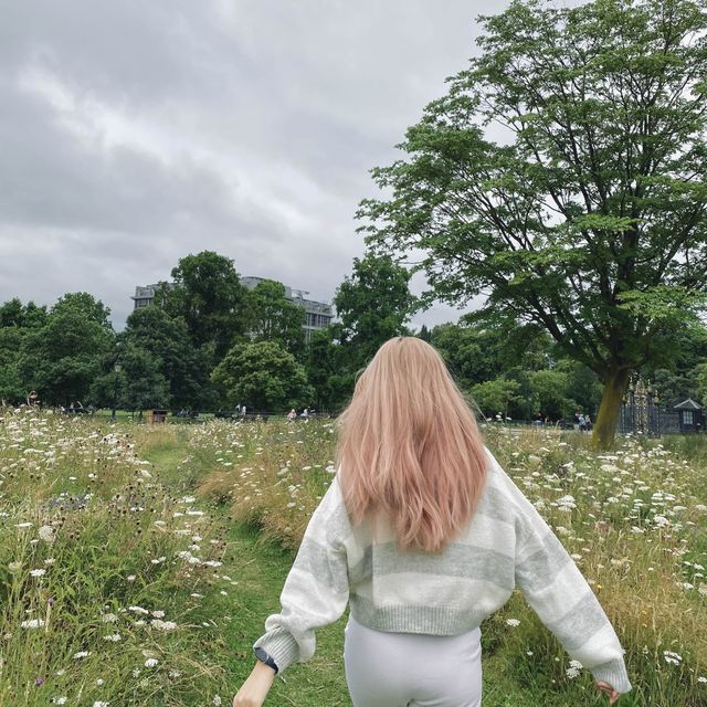 Explore the Beauty of Kensington Forest