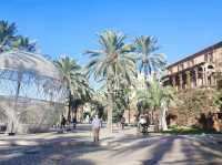 Palma de Mallorca in December