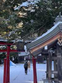 Day Trip from Tokyo to See the Snow Monkeys 🐒