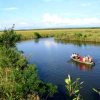   Kolkheti national park-the defender of nature