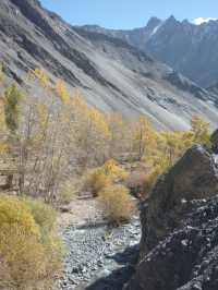 Hidden Valley Between Zinchan and Rumbak: A Remote Himalayan Escape