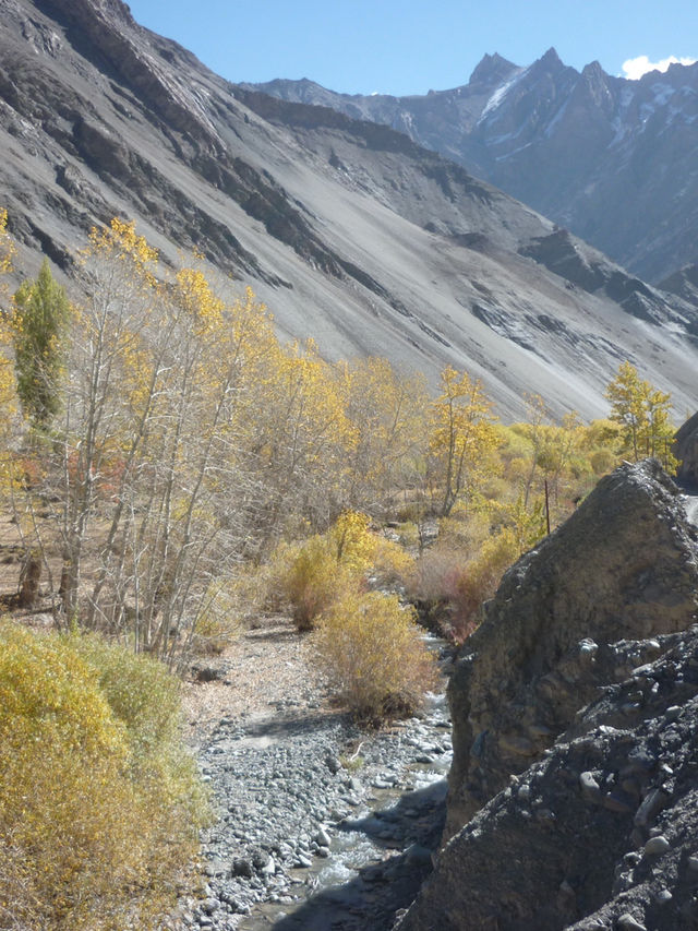 Hidden Valley Between Zinchan and Rumbak: A Remote Himalayan Escape