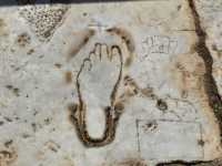 漫遊古希臘遺跡，以弗所（Ephesus）下層區