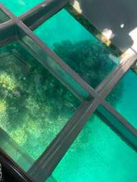 Spotting coral 