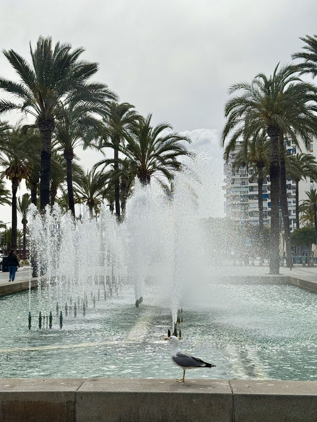 Fountain Located at 📍Sant Antoni Eivisa
