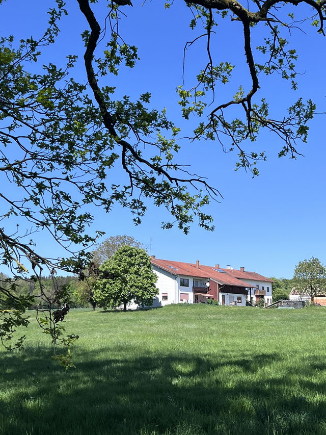 **Egglsee in Ebersberg：湖光森林裡的隱藏版療癒時光**  