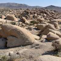 🌵 Top Landmarks in Joshua Tree National Park 🏜️✨