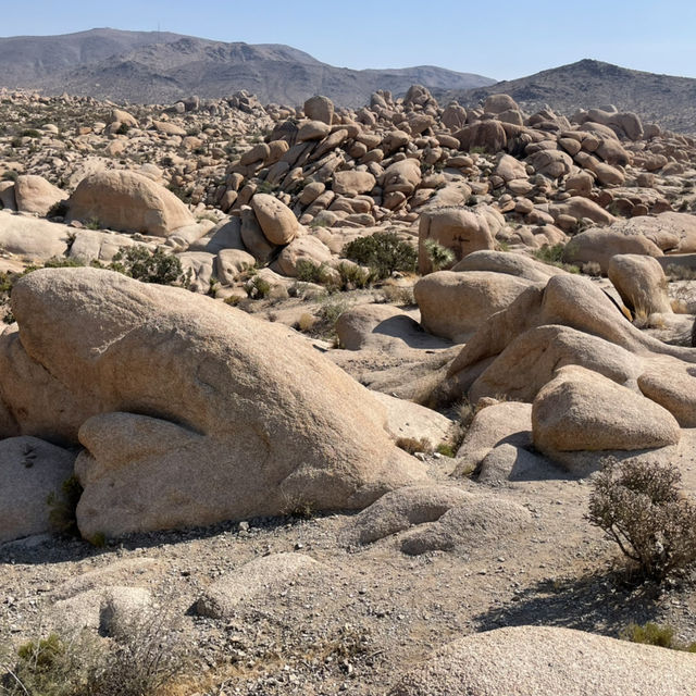 🌵 Top Landmarks in Joshua Tree National Park 🏜️✨