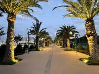 Sun, Sand, and Ryanair: A Summer Escape to Agadir