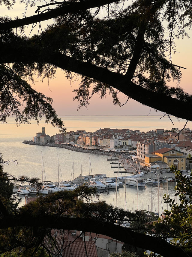 🇸🇮 斯洛維尼亞皮蘭（Piran） 🌅