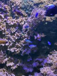 Best Europe Zoo in Belgium