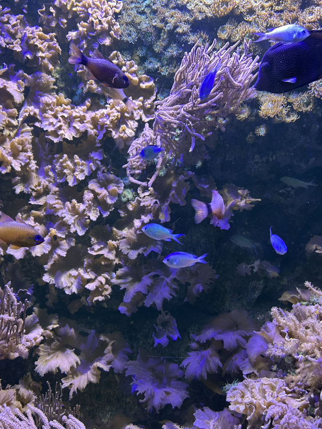 Best Europe Zoo in Belgium