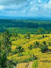 Jatiluwih Rice Terraces, Bali: A Peaceful Tapestry of Tradition and Nature