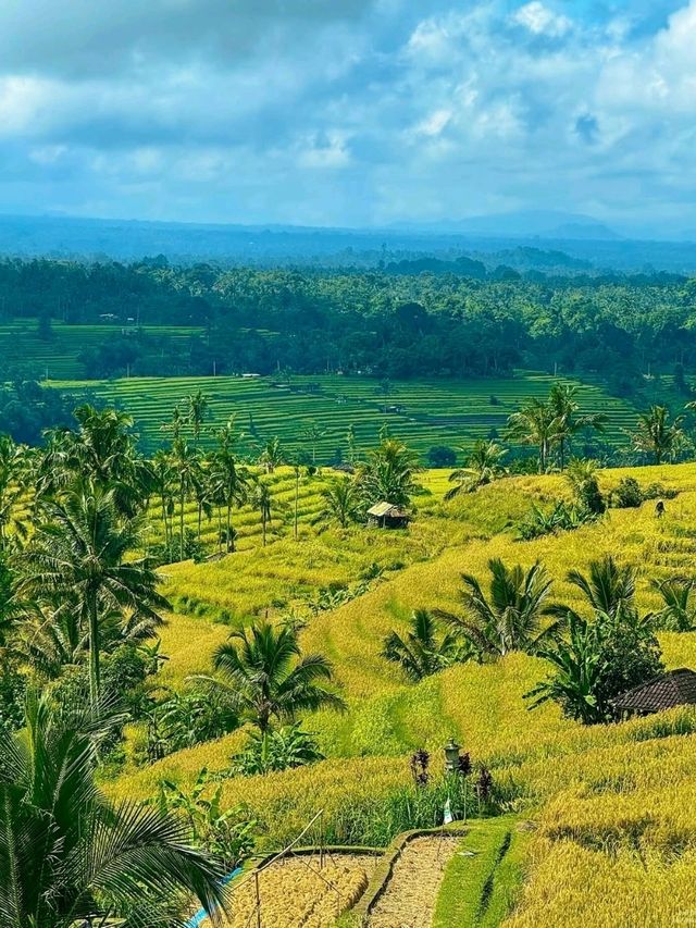 Jatiluwih Rice Terraces, Bali: A Peaceful Tapestry of Tradition and Nature