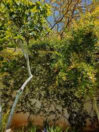 🌿 Le Jardin Secret – A Hidden Oasis in the Heart of Marrakech