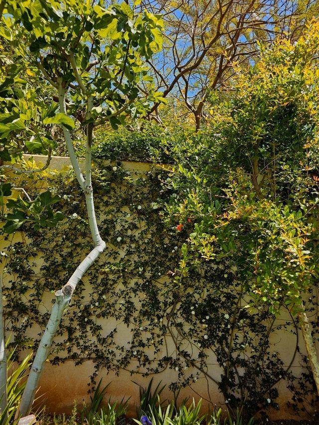 🌿 Le Jardin Secret – A Hidden Oasis in the Heart of Marrakech