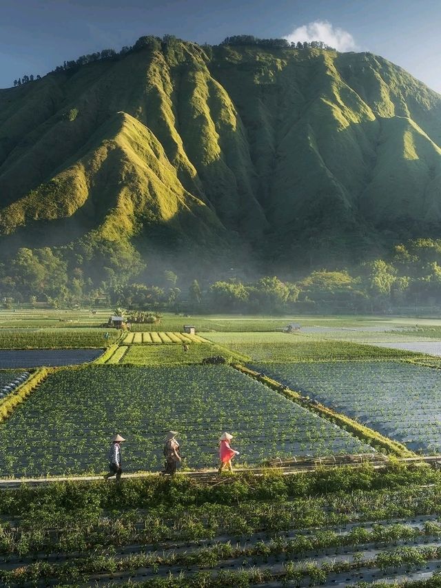 ⛰️ Sembalun – Lombok’s Highland Gateway to Rinjani