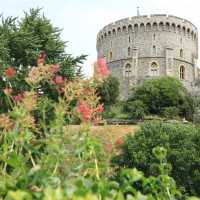 A Majestic Journey Through History – Windsor Castle Delivers!